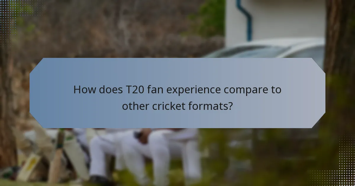 How does T20 fan experience compare to other cricket formats?