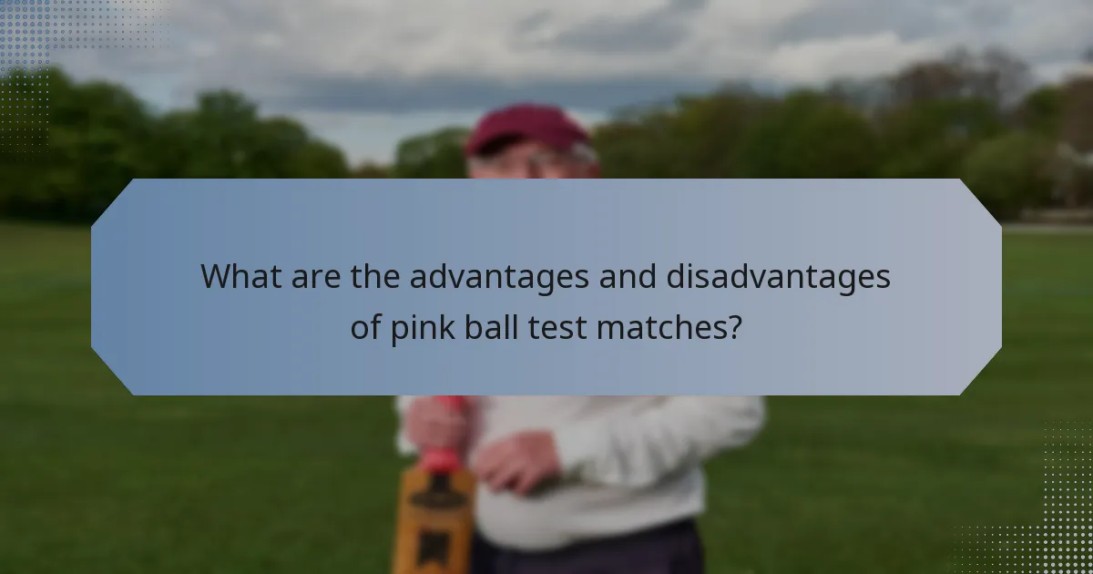 What are the advantages and disadvantages of pink ball test matches?