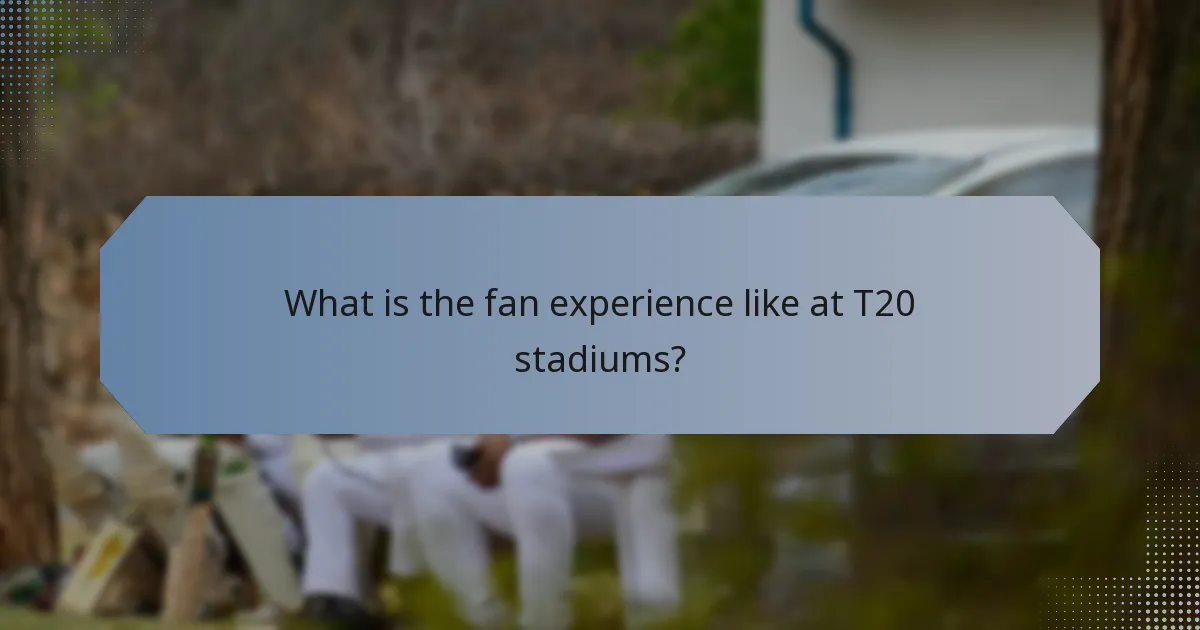 What is the fan experience like at T20 stadiums?