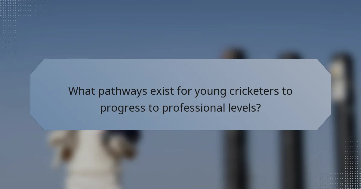 What pathways exist for young cricketers to progress to professional levels?