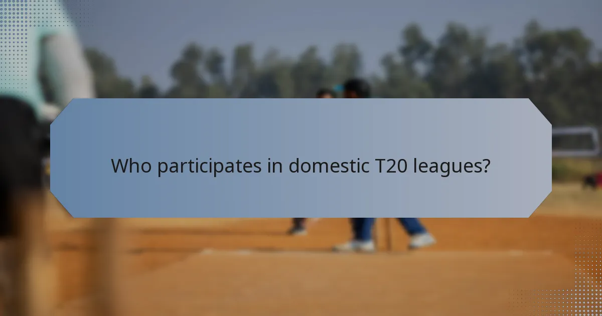 Who participates in domestic T20 leagues?